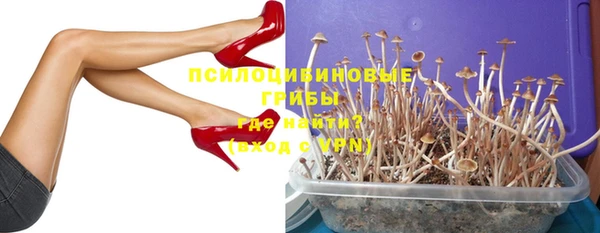 марихуана Абаза