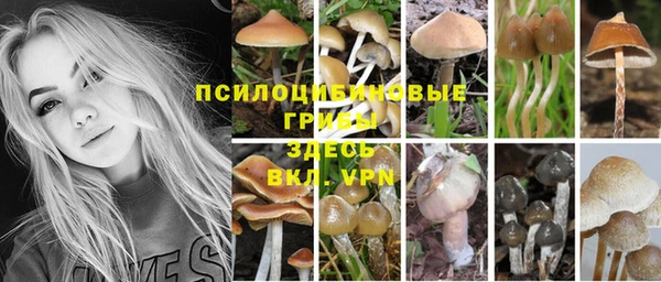 соль ск Протвино