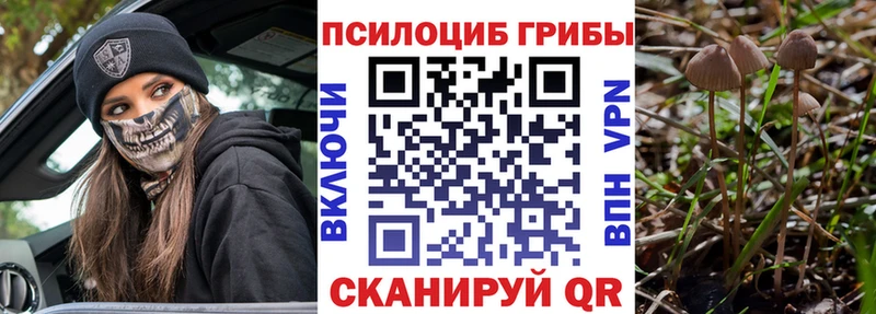 Галлюциногенные грибы прущие грибы Дальнереченск